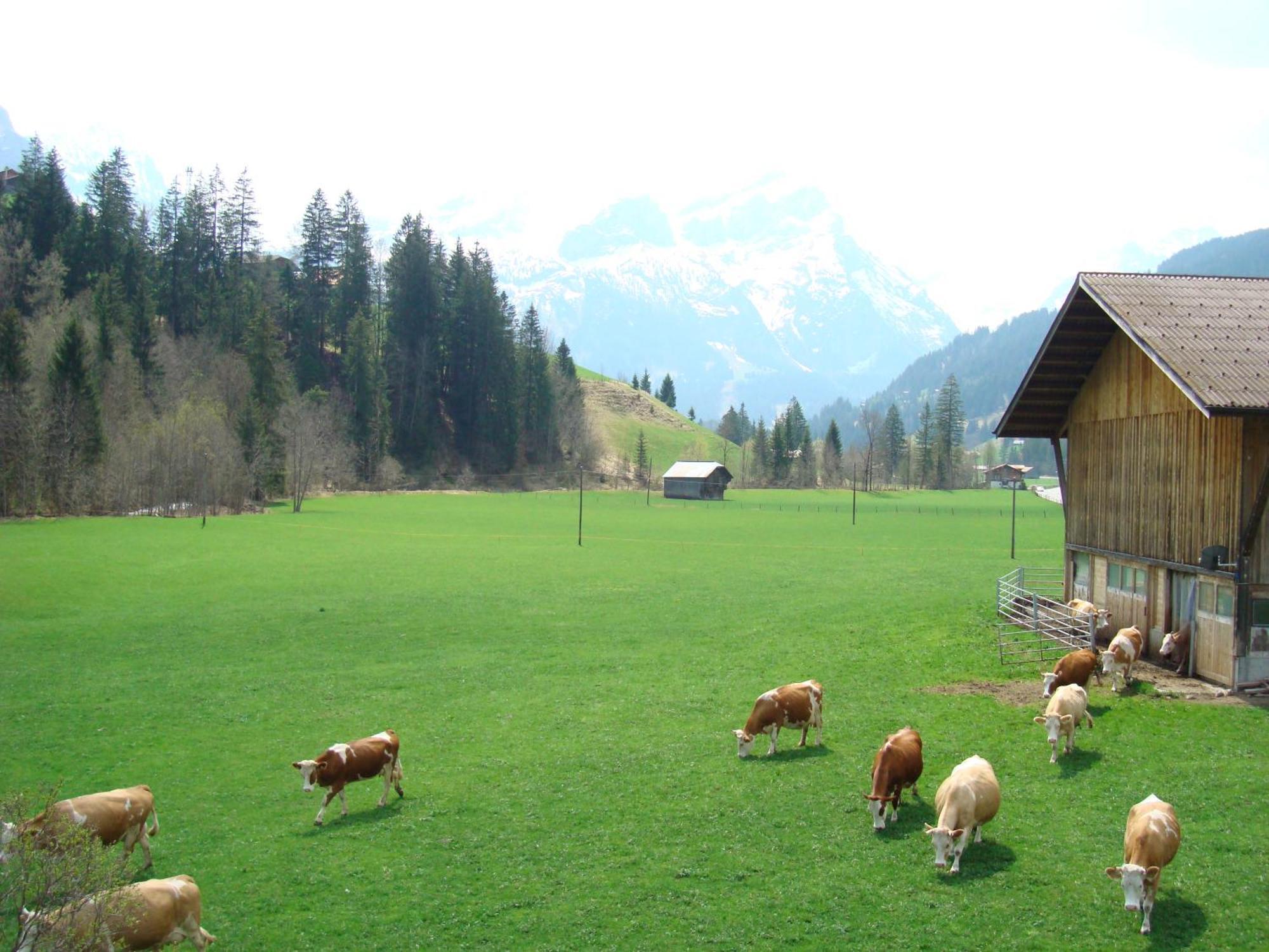 Casa Antica Appartement Gstaad Buitenkant foto