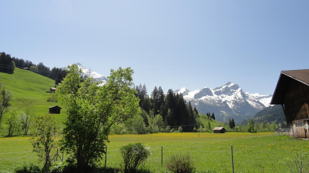 Casa Antica Appartement Gstaad Buitenkant foto